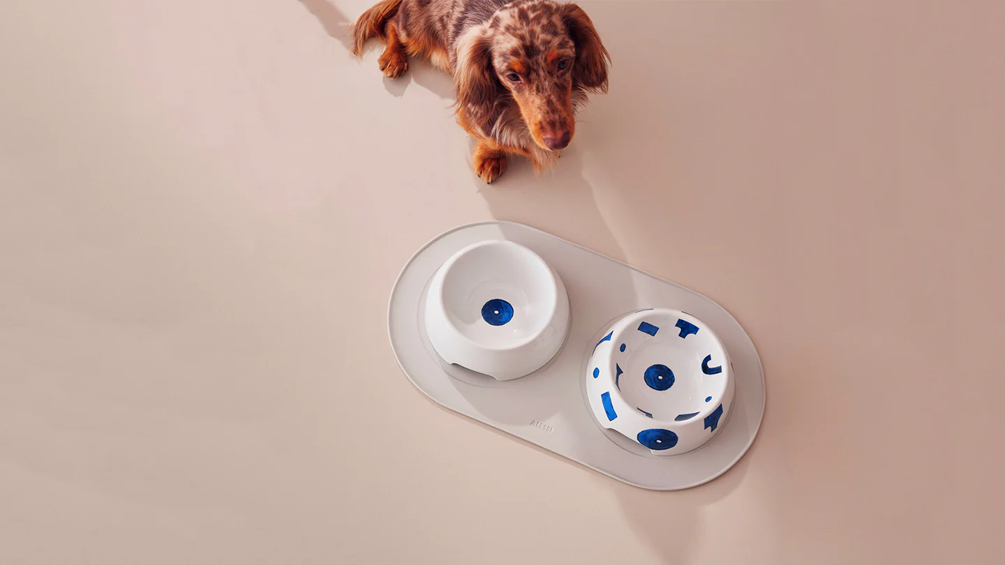 Timeless Icons of Italian Design